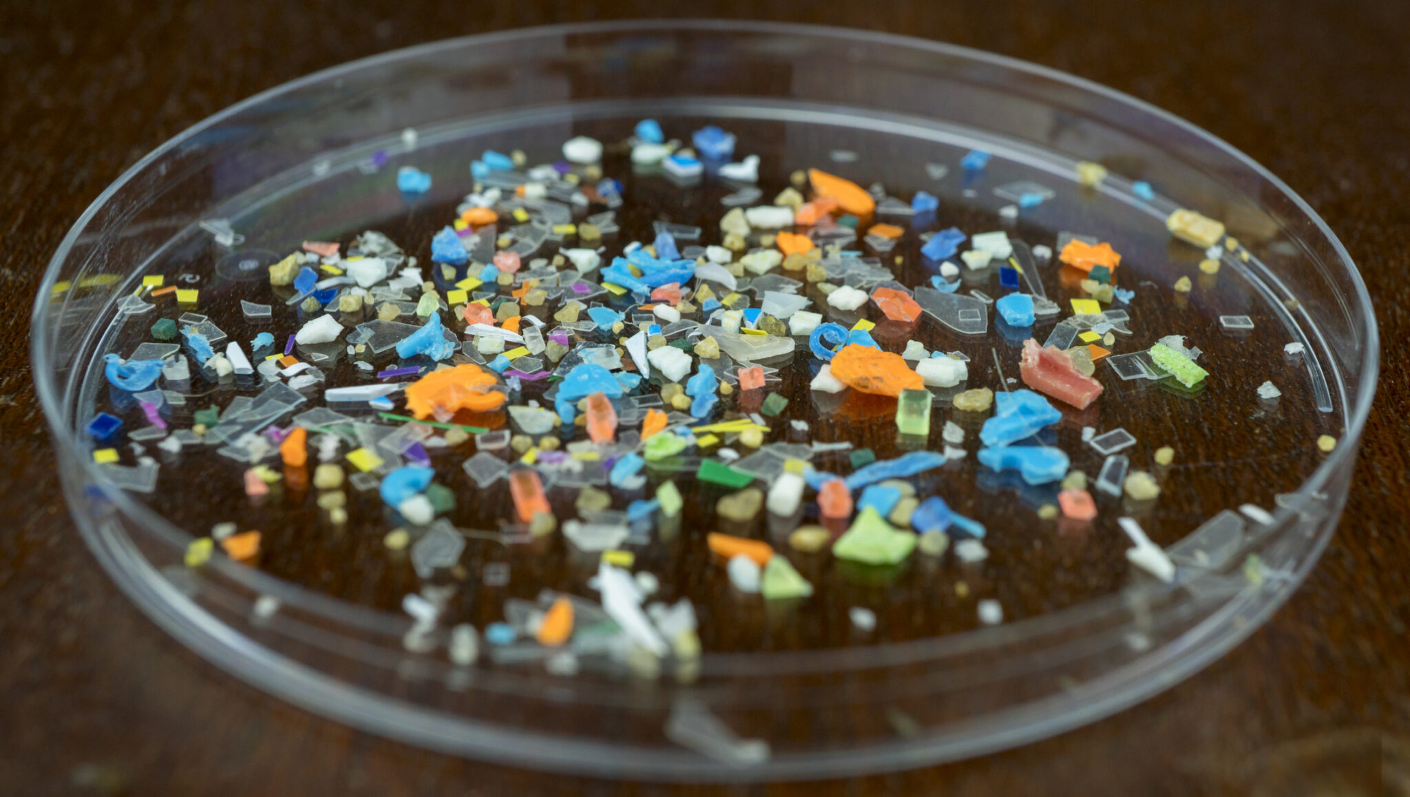Mocroplastic How Microplastics and Nanoplastics Affect Our Long-Term Health - Health ...