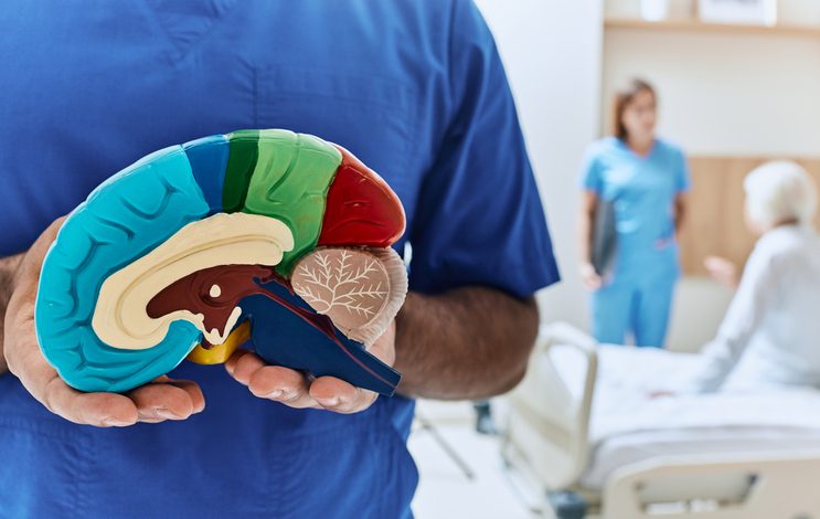 Understanding Stroke – Flushing Hospital Stroke Unit Doctor holding a colorful 3D brain model with nurse and patient in the background